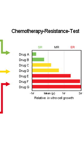 CTR-Test-Result (Schematic Example) CTR-Test-Result (Example)