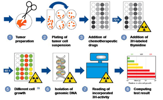 CTR-Test-Procedure in the Laboratory