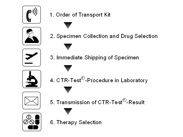 Process and Order of the CTR-Test