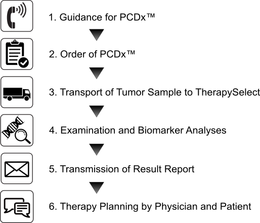 Figure about process and order of the Caris Molecular Intelligence® Service Figure about process and order of the Caris Molecular Intelligence® Service