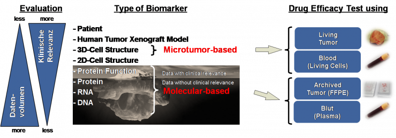 Clinical Relevance of Biomarker in Oncology - Figure